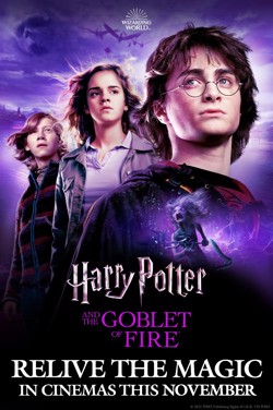 (4DX) Harry Potter And The Goblet Of Fire poster