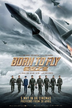 Born To Fly (Mandarin) poster