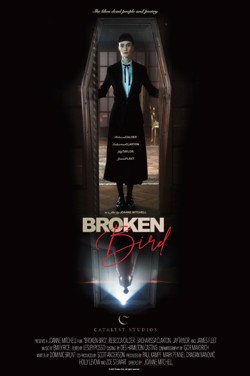 Broken Bird poster