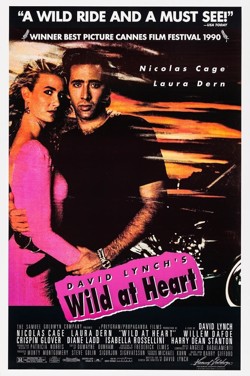CAGE FEST : Wild At Heart poster
