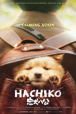 Hachiko (Mandarin) poster