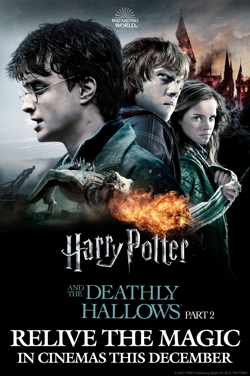 Harry Potter And The Deathly Hallows Pt 2 (2020 RE poster