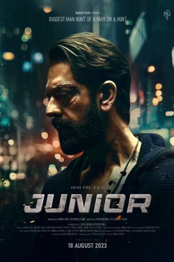 Junior (Punjabi) poster
