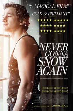 Never Gonna Snow Again poster