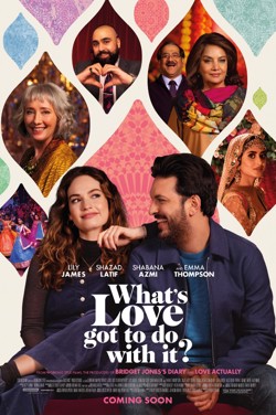 What's Love Got To Do With It? poster