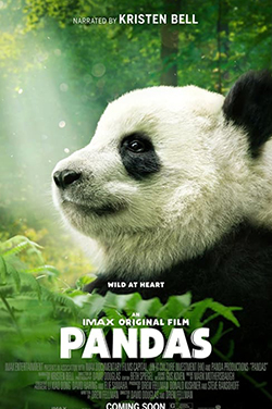 IMAX: Pandas 3D poster