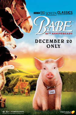 Babe (1995) 25th Anniversary TCM poster