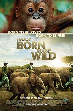 IMAX: Born to Be Wild 3D thumbnail