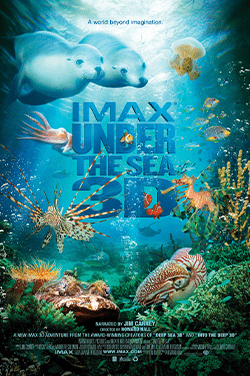 IMAX: Under The Sea 3D poster