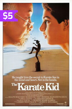 The Karate Kid (Classics) poster