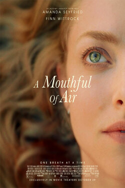 A Mouthful of Air poster