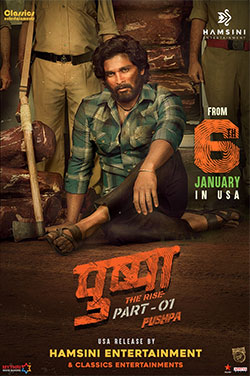 Pushpa: The Rise (Hindi) poster