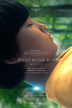 Sheep in the Box thumbnail