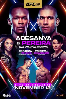 UFC 281: Adesanya vs Pereira poster
